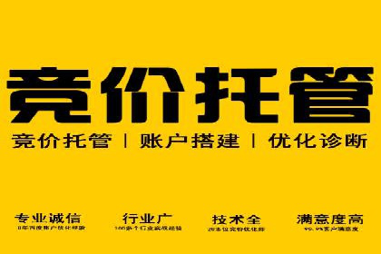 探讨SEM公司成功案例：用户体验与广告效果的关系